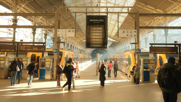 Urgence écologique en Amazonie : La crise de la déforestation dévoilée